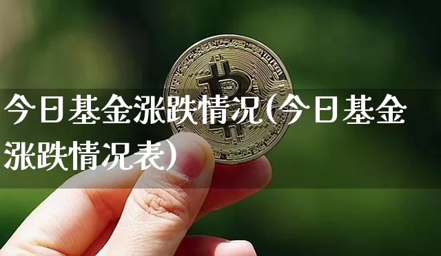 今日基金涨跌情况(今日基金涨跌情况表)_https://www.jyywjc.com_股票价格_第1张