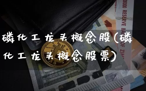 磷化工龙头概念股(磷化工龙头概念股票)_https://www.jyywjc.com_股票价格_第1张