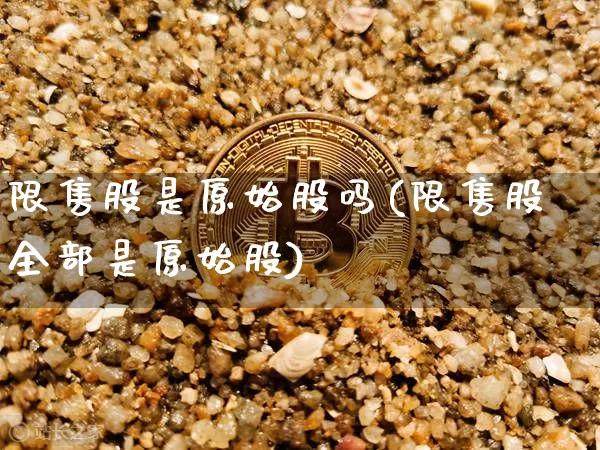 限售股是原始股吗(限售股全部是原始股)_https://www.jyywjc.com_深交所_第1张