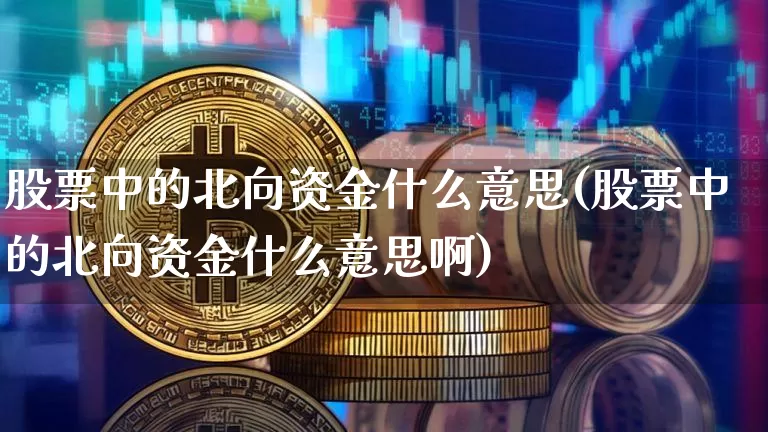 股票中的北向资金什么意思(股票中的北向资金什么意思啊)_https://www.jyywjc.com_股票板块_第1张