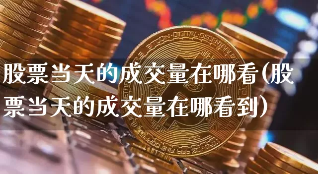 股票当天的成交量在哪看(股票当天的成交量在哪看到)_https://www.jyywjc.com_创业板_第1张
