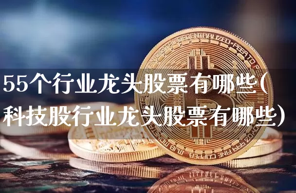 55个行业龙头股票有哪些(科技股行业龙头股票有哪些)_https://www.jyywjc.com_深交所_第1张