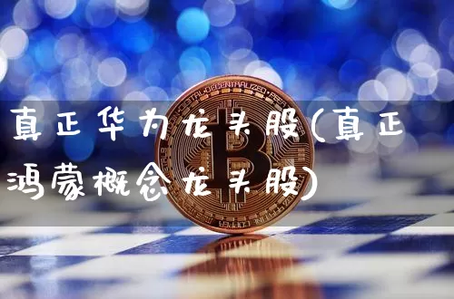 真正华为龙头股(真正鸿蒙概念龙头股)_https://www.jyywjc.com_科创板_第1张