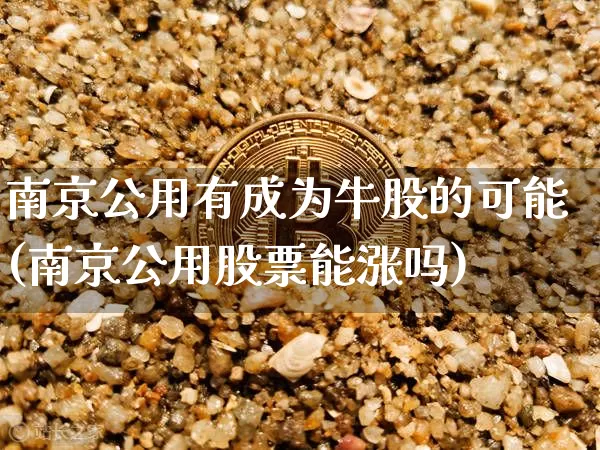 南京公用有成为牛股的可能(南京公用股票能涨吗)_https://www.jyywjc.com_股票行情_第1张