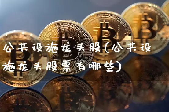 公共设施龙头股(公共设施龙头股票有哪些)_https://www.jyywjc.com_股票价格_第1张