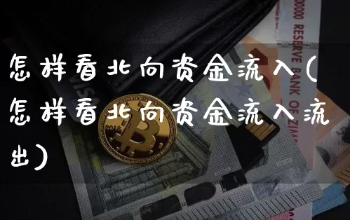 怎样看北向资金流入(怎样看北向资金流入流出)_https://www.jyywjc.com_股票板块_第1张