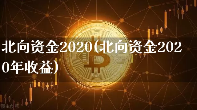 北向资金2020(北向资金2020年收益)_https://www.jyywjc.com_股票_第1张