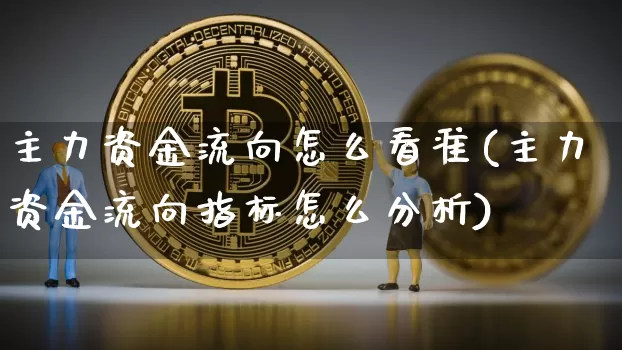 主力资金流向怎么看准(主力资金流向指标怎么分析)_https://www.jyywjc.com_股票_第1张