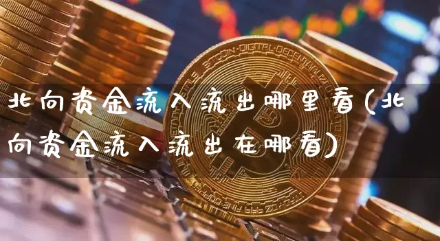 北向资金流入流出哪里看(北向资金流入流出在哪看)_https://www.jyywjc.com_股票趋势_第1张
