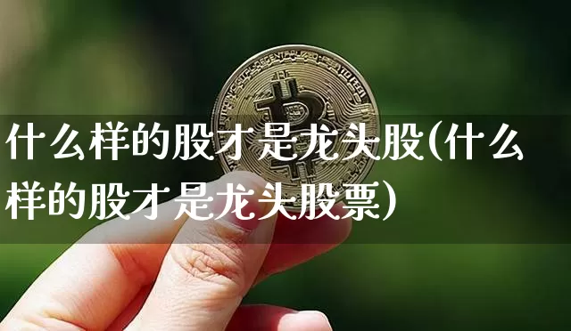 什么样的股才是龙头股(什么样的股才是龙头股票)_https://www.jyywjc.com_北交所_第1张