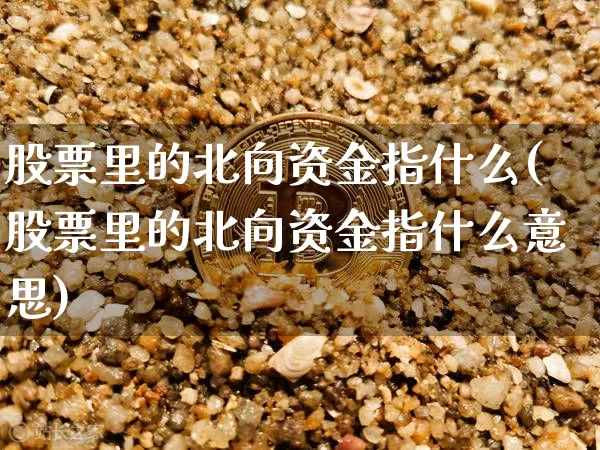 股票里的北向资金指什么(股票里的北向资金指什么意思)_https://www.jyywjc.com_股票行情_第1张