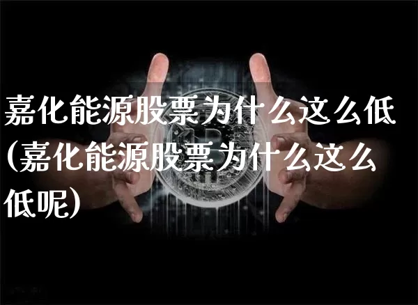 嘉化能源股票为什么这么低(嘉化能源股票为什么这么低呢)_https://www.jyywjc.com_股票_第1张