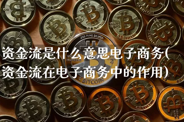 资金流是什么意思电子商务(资金流在电子商务中的作用)_https://www.jyywjc.com_股票价格_第1张