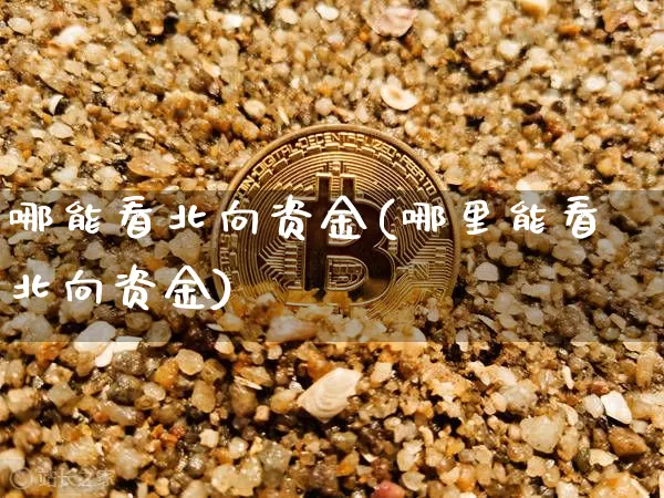 哪能看北向资金(哪里能看北向资金)_https://www.jyywjc.com_股票行情_第1张