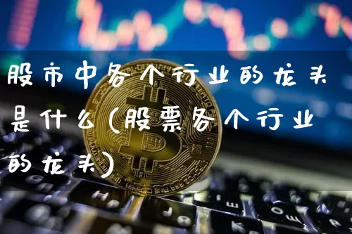 股市中各个行业的龙头是什么(股票各个行业的龙头)_https://www.jyywjc.com_股票行情_第1张
