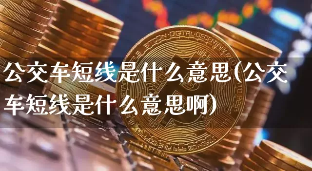 公交车短线是什么意思(公交车短线是什么意思啊)_https://www.jyywjc.com_股票板块_第1张