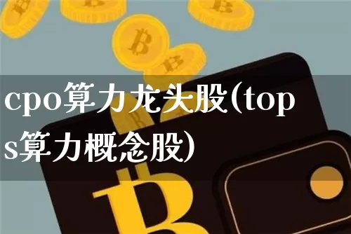 cpo算力龙头股(tops算力概念股)_https://www.jyywjc.com_北交所_第1张