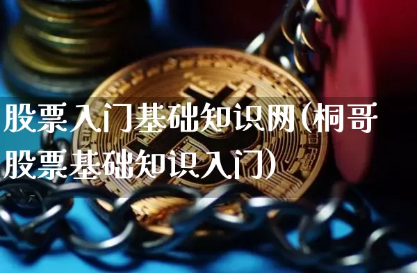 股票入门基础知识网(桐哥股票基础知识入门)_https://www.jyywjc.com_股票行情_第1张