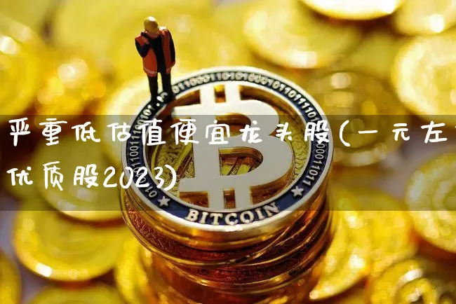 严重低估值便宜龙头股(一元左右优质股2023)_https://www.jyywjc.com_上交所_第1张