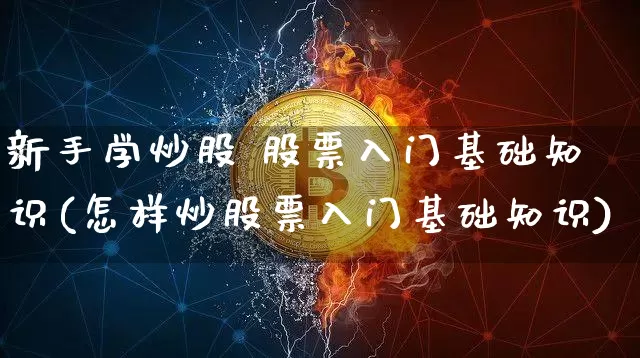 新手学炒股 股票入门基础知识(怎样炒股票入门基础知识)_https://www.jyywjc.com_股票_第1张