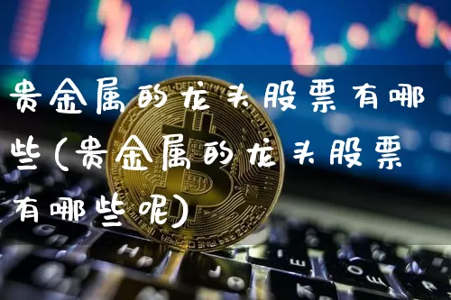 贵金属的龙头股票有哪些(贵金属的龙头股票有哪些呢)_https://www.jyywjc.com_股票价格_第1张