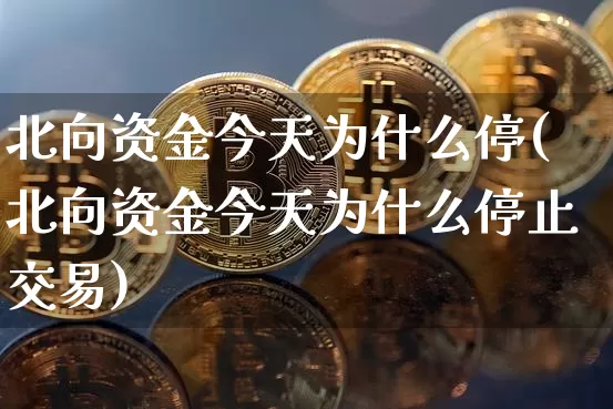 北向资金今天为什么停(北向资金今天为什么停止交易)_https://www.jyywjc.com_股票板块_第1张