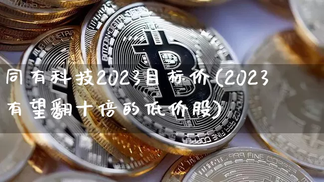 同有科技2023目标价(2023有望翻十倍的低价股)_https://www.jyywjc.com_股票板块_第1张