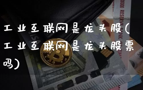 工业互联网是龙头股(工业互联网是龙头股票吗)_https://www.jyywjc.com_股票板块_第1张