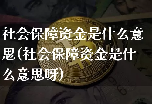 社会保障资金是什么意思(社会保障资金是什么意思呀)_https://www.jyywjc.com_股票价格_第1张