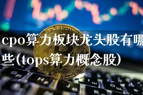 cpo算力板块龙头股有哪些(tops算力概念股)_https://www.jyywjc.com_创业板_第1张