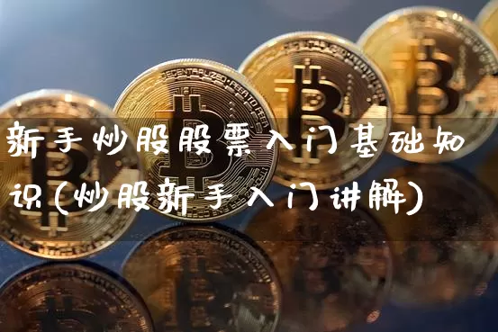 新手炒股股票入门基础知识(炒股新手入门讲解)_https://www.jyywjc.com_科创板_第1张