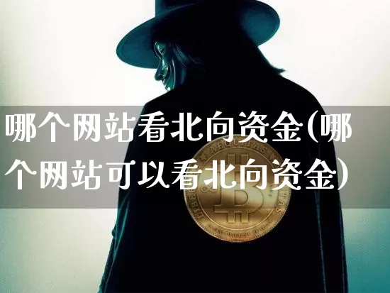 哪个网站看北向资金(哪个网站可以看北向资金)_https://www.jyywjc.com_股票_第1张