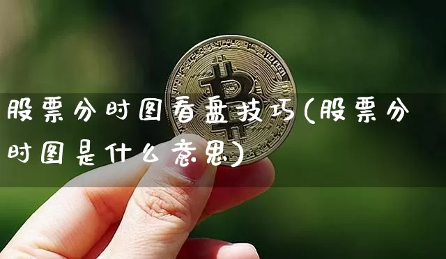 股票分时图看盘技巧(股票分时图是什么意思)_https://www.jyywjc.com_深交所_第1张