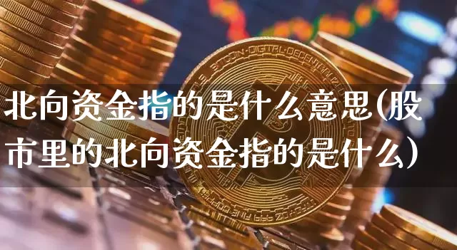 北向资金指的是什么意思(股市里的北向资金指的是什么)_https://www.jyywjc.com_股票行情_第1张