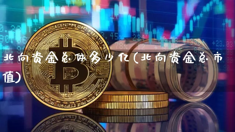 北向资金总体多少亿(北向资金总市值)_https://www.jyywjc.com_股票_第1张