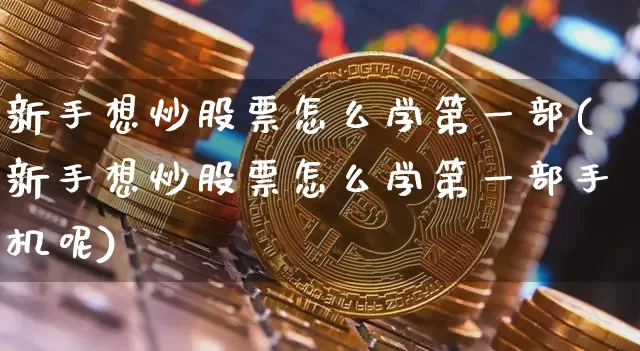 新手想炒股票怎么学第一部(新手想炒股票怎么学第一部手机呢)_https://www.jyywjc.com_深交所_第1张