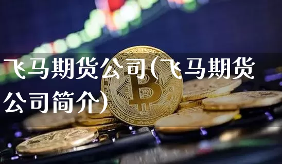飞马期货公司(飞马期货公司简介)_https://www.jyywjc.com_股票板块_第1张