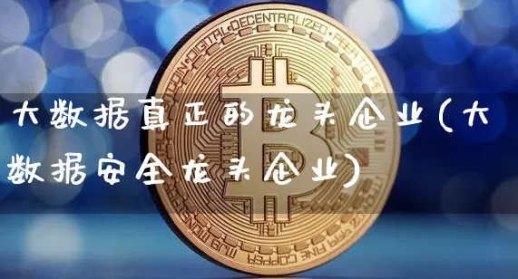大数据真正的龙头企业(大数据安全龙头企业)_https://www.jyywjc.com_股票板块_第1张