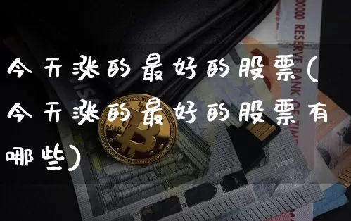 今天涨的最好的股票(今天涨的最好的股票有哪些)_https://www.jyywjc.com_股票板块_第1张