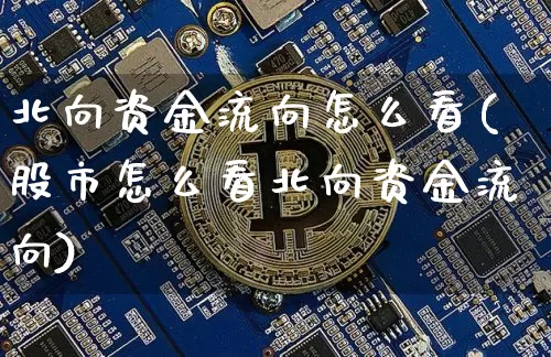 北向资金流向怎么看(股市怎么看北向资金流向)_https://www.jyywjc.com_股票_第1张