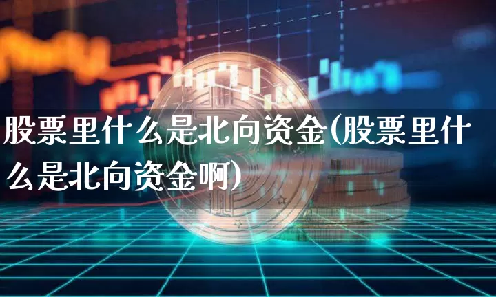 股票里什么是北向资金(股票里什么是北向资金啊)_https://www.jyywjc.com_股票行情_第1张
