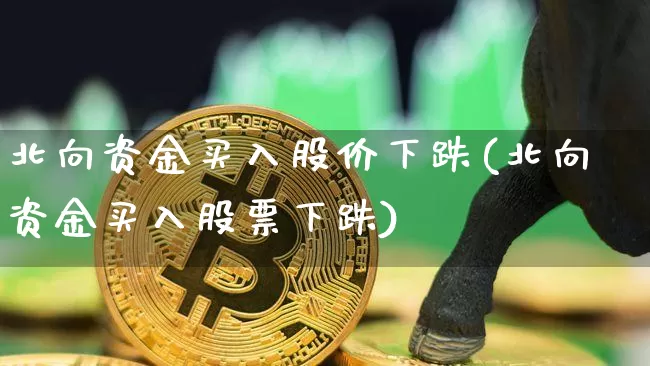 北向资金买入股价下跌(北向资金买入股票下跌)_https://www.jyywjc.com_股票_第1张