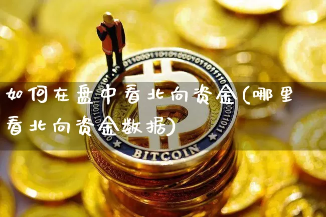 如何在盘中看北向资金(哪里看北向资金数据)_https://www.jyywjc.com_股票_第1张