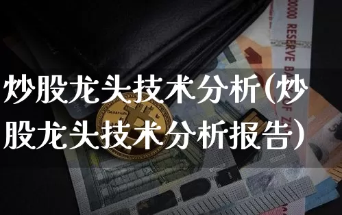 炒股龙头技术分析(炒股龙头技术分析报告)_https://www.jyywjc.com_股票趋势_第1张