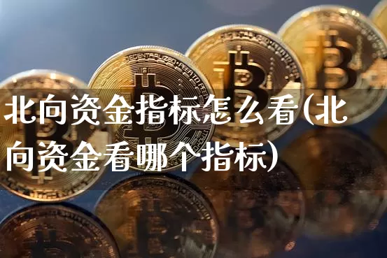 北向资金指标怎么看(北向资金看哪个指标)_https://www.jyywjc.com_股票行情_第1张