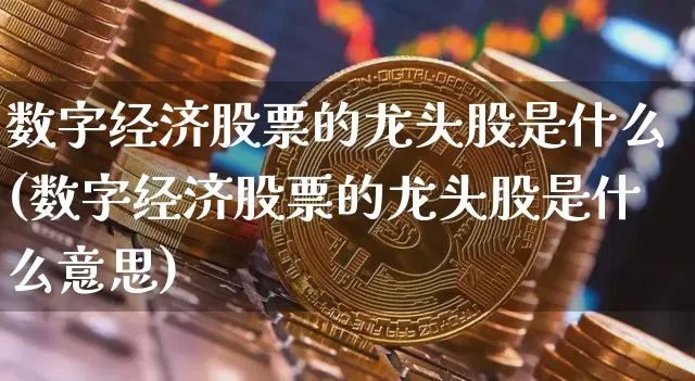 数字经济股票的龙头股是什么(数字经济股票的龙头股是什么意思)_https://www.jyywjc.com_深交所_第1张