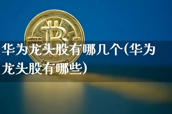 华为龙头股有哪几个(华为龙头股有哪些)_https://www.jyywjc.com_上交所_第1张
