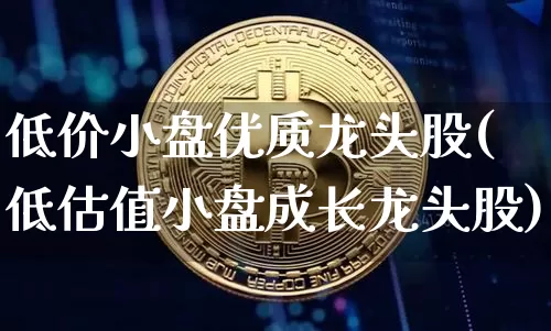低价小盘优质龙头股(低估值小盘成长龙头股)_https://www.jyywjc.com_深交所_第1张