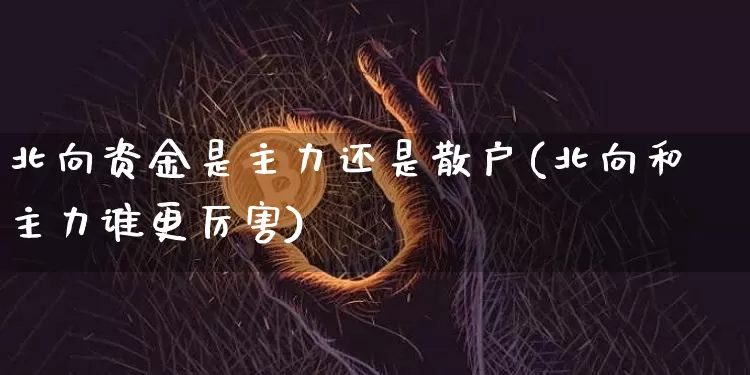 北向资金是主力还是散户(北向和主力谁更厉害)_https://www.jyywjc.com_股票板块_第1张