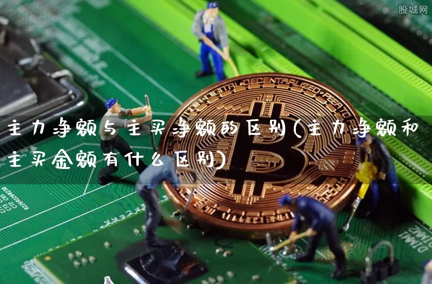 主力净额与主买净额的区别(主力净额和主买金额有什么区别)_https://www.jyywjc.com_股票价格_第1张